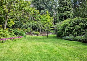 Optimiser l'expérience du jardin à Marolles-sur-Seine